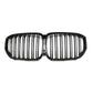 Calandre bmw X5, G05, 2019-2023 noir